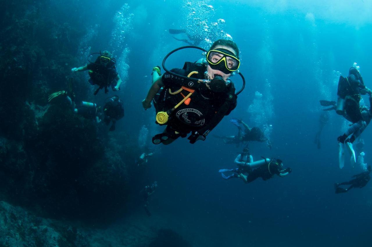 Carabao Diving Koh Tao Hotel Екстериор снимка